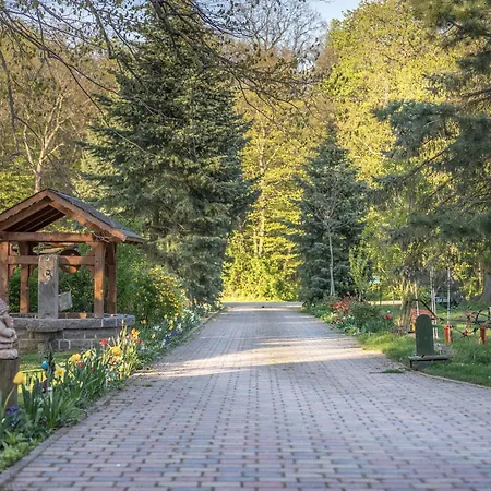 Bauer Linde's Apartament *