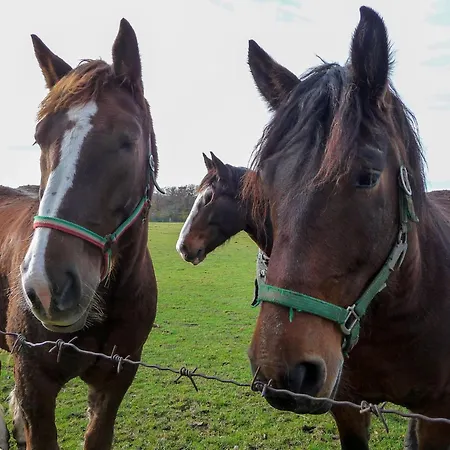 Bauer Linde's Apartament *